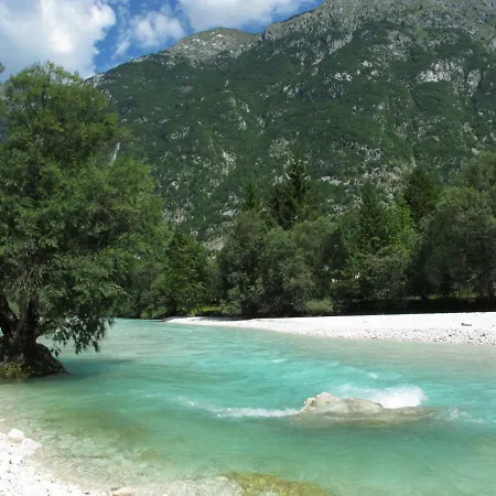 Montis Bovec