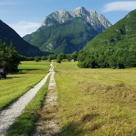 Montis Bovec