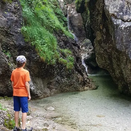 Apartamento Montis *