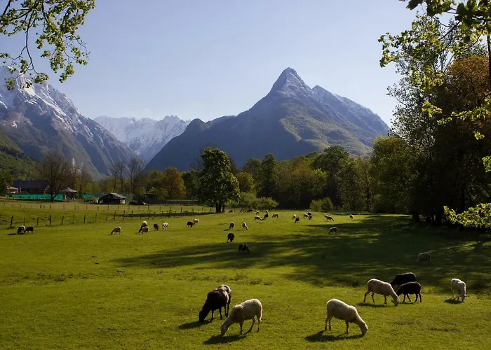 Montis 公寓 博维茨